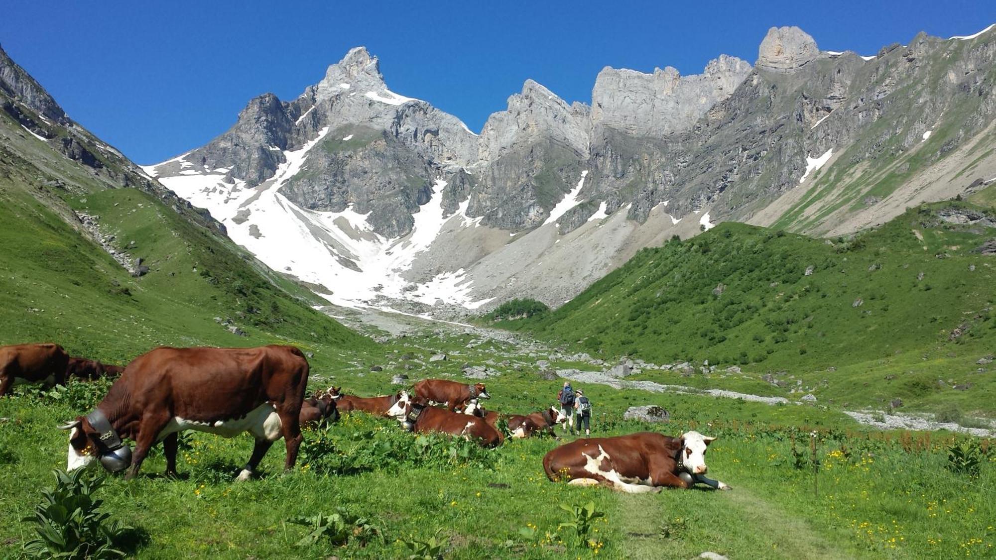 Vintage Chic -Central, Wifi, Mountain View Les Carroz d'Araches Exterior foto